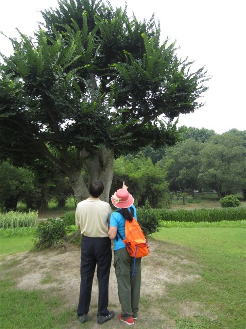 20126198245427219.jpg