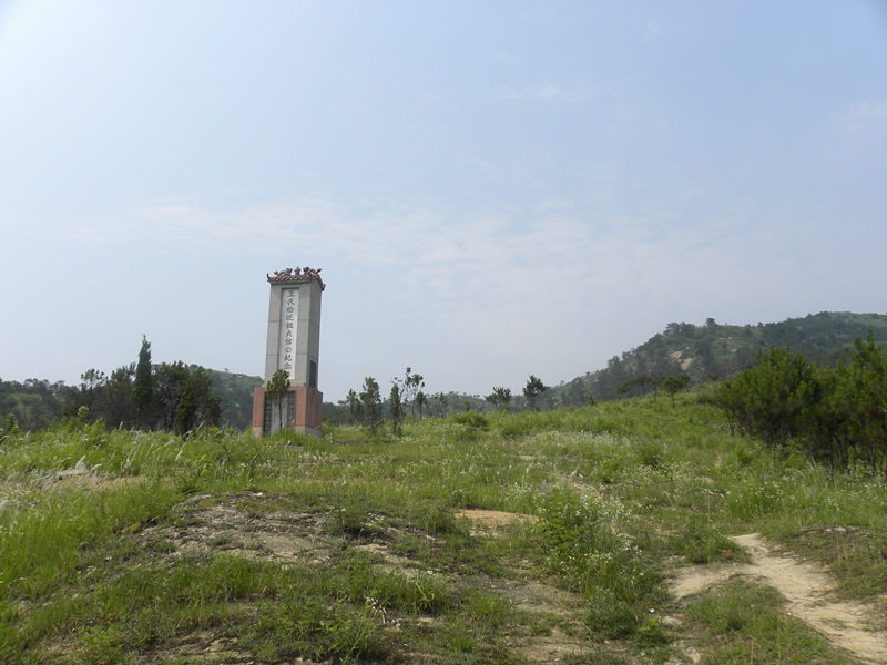 dscn0081_.jpg
