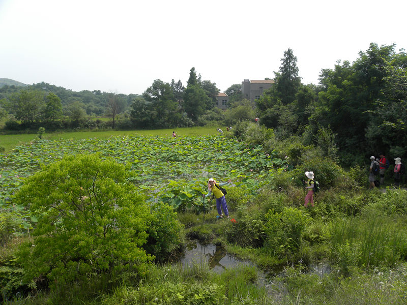 dscn0082_.jpg