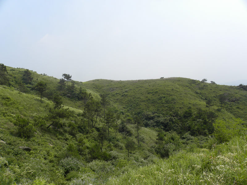 dscn0047_.jpg