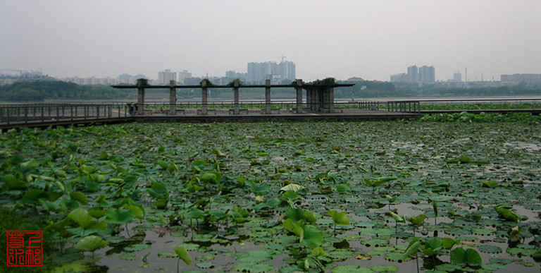 img_1889_2.jpg