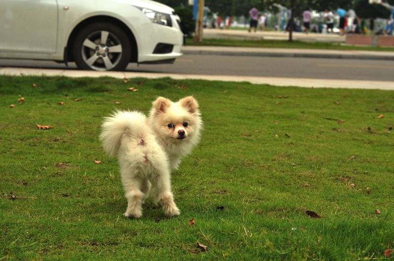 neo_img_dsc_0054.jpg