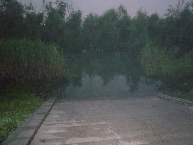 p1050576.jpg
