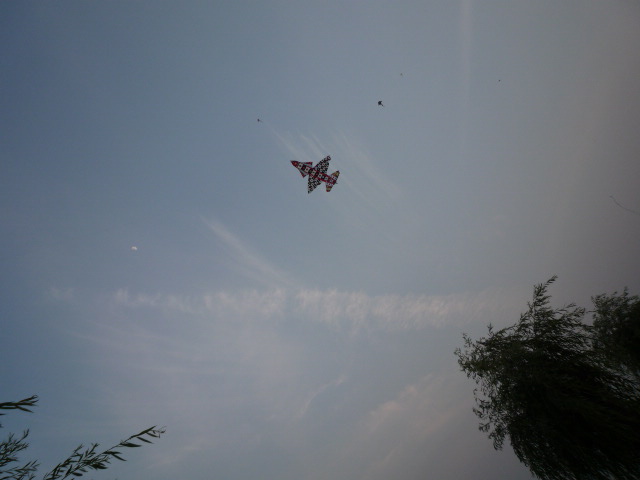 p1050575.jpg