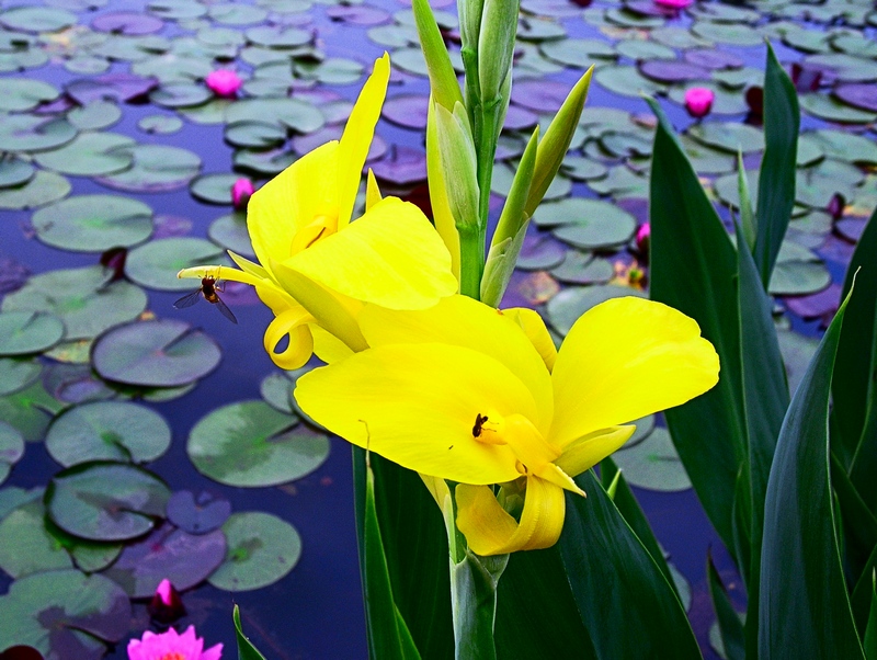 dscn61920.jpg