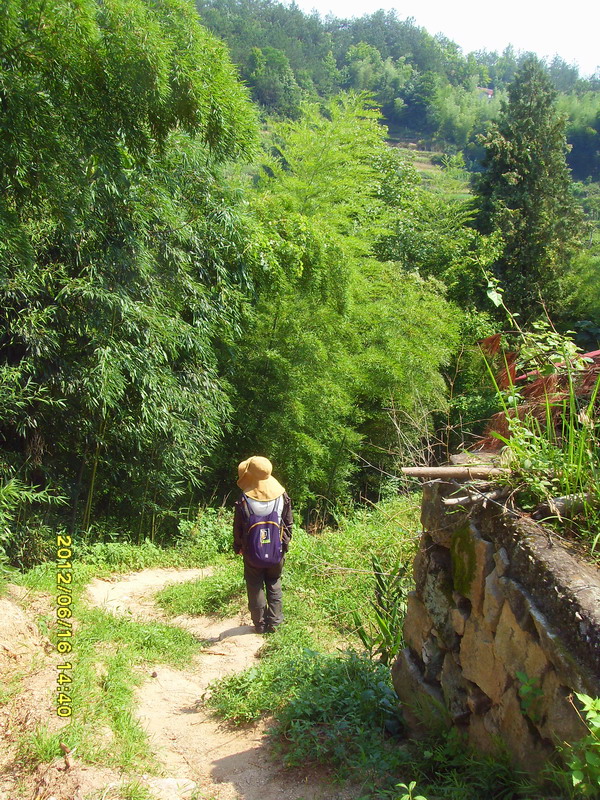 sdc10791.jpg
