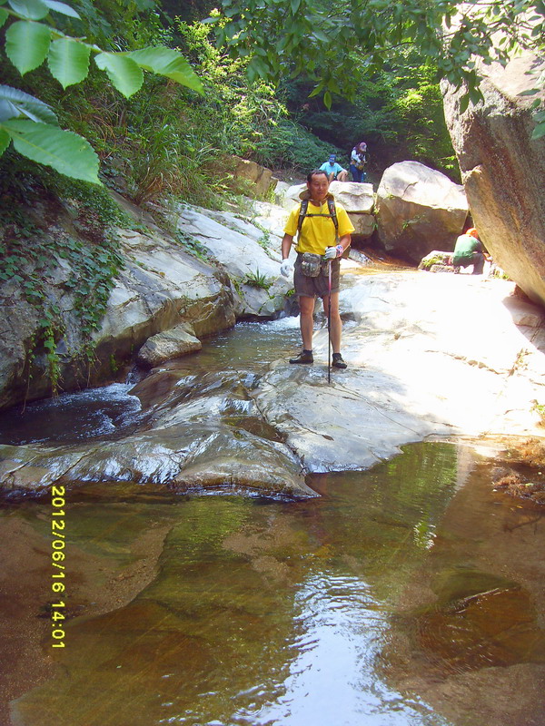 sdc10781.jpg