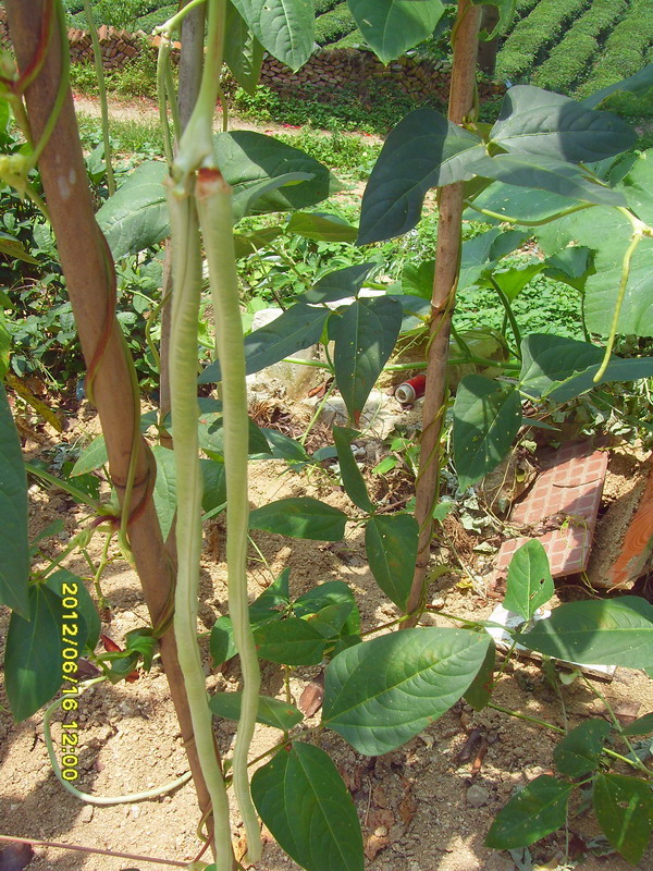 sdc10761.jpg