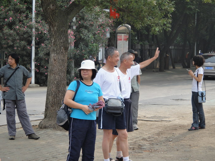 479-10.jpg