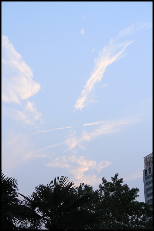 conew_ڷ罭̲516 042.jpg