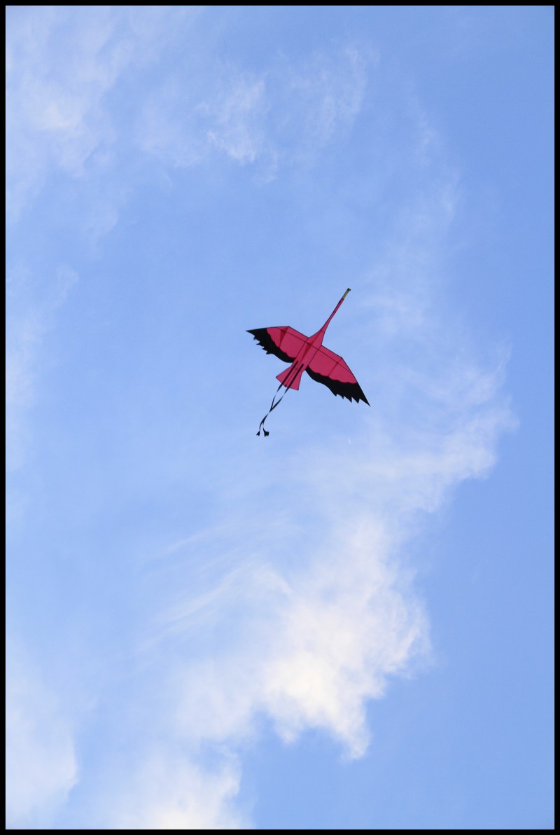 conew_ڷ罭̲516 045.jpg