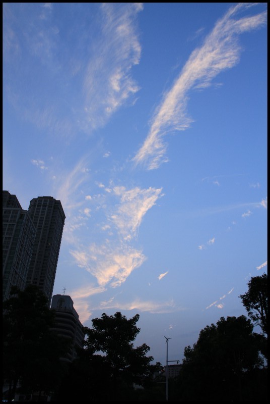 conew_ڷ罭̲516 056.jpg