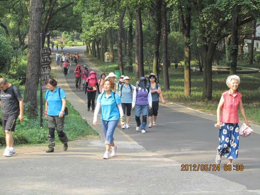img_0137qq.jpg