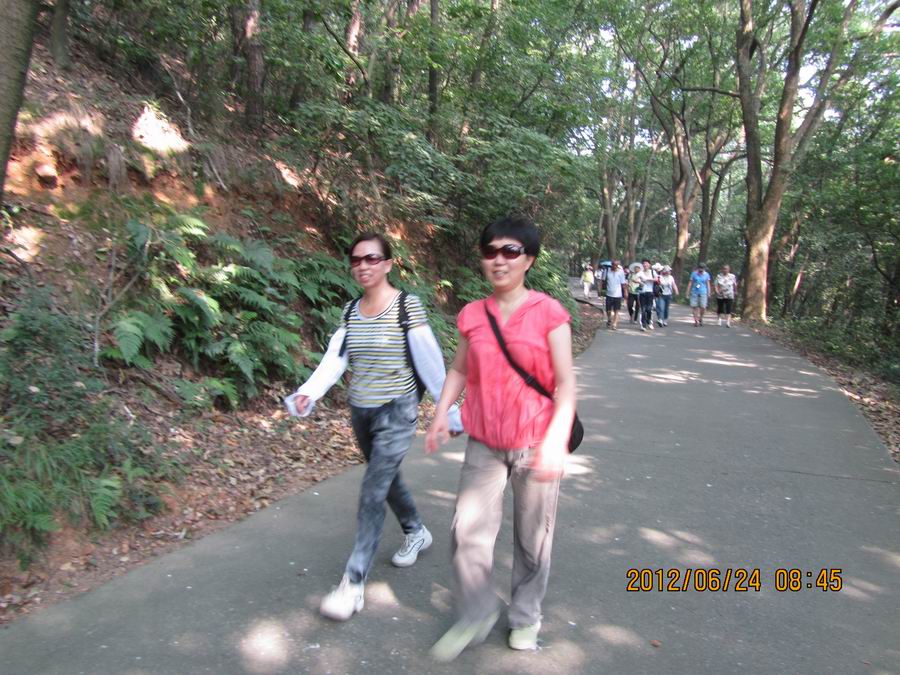 img_0140qq.jpg