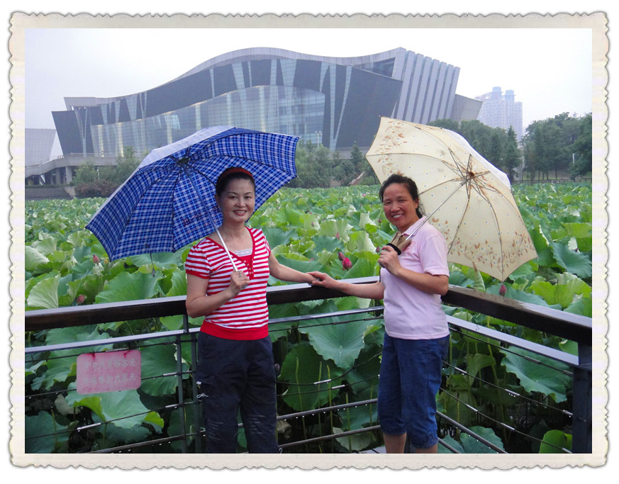 dsc01293_.jpg