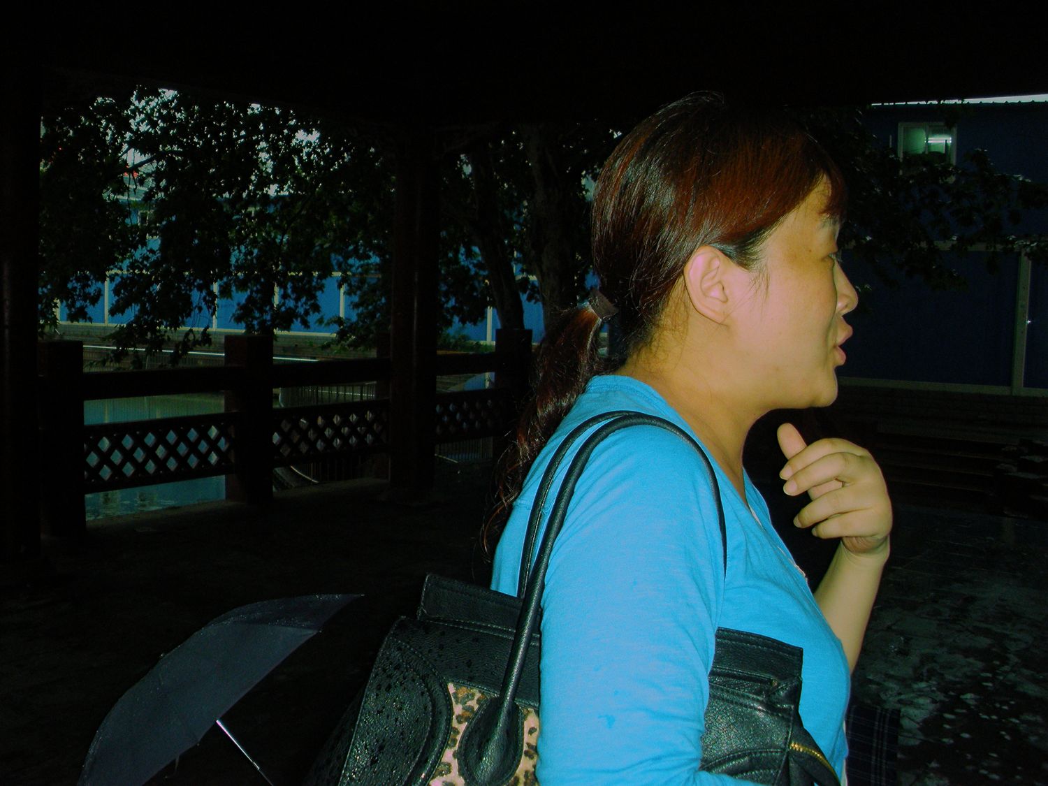 p6280109.jpg