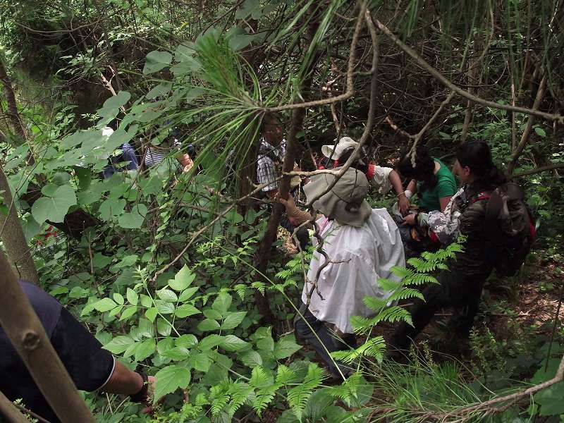 dscf0553_��Ŀѹ��_��Ŀѹ��.jpg