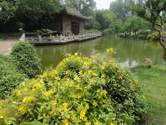 辰-7.jpg
