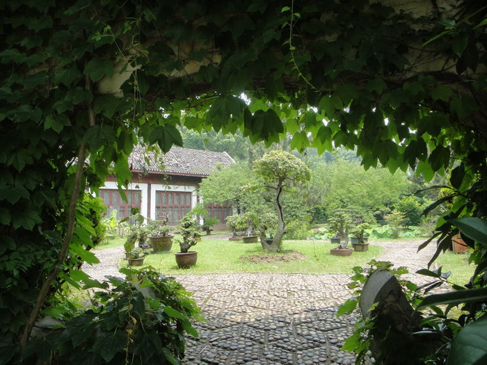 辰-11.jpg