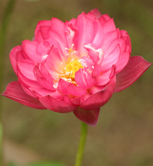 2012060308.jpg