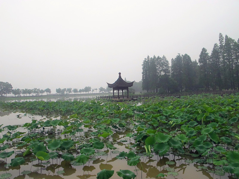 20120602ĥɽͽ 004_.jpg