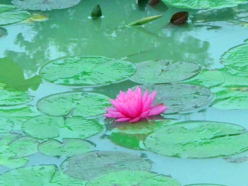 20120602ĥɽͽ 005_.jpg