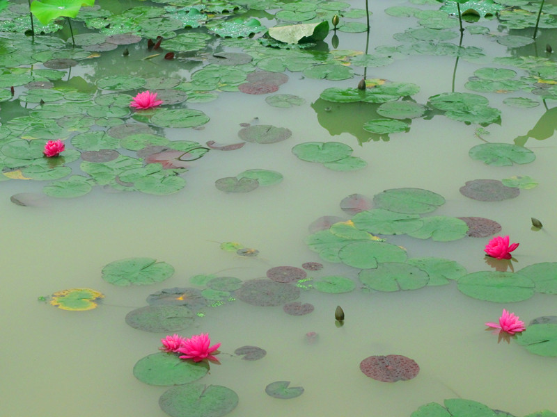 20120602ĥɽͽ 006_.jpg