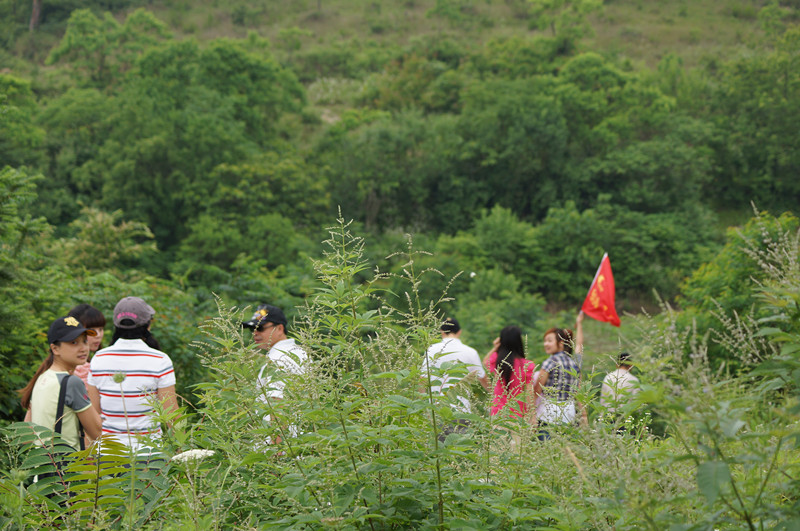 dsc02953_.jpg