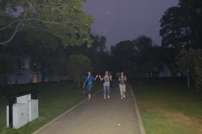 p1000107-1.jpg