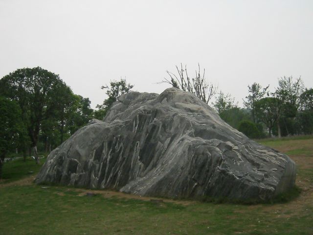 img_6181.jpg
