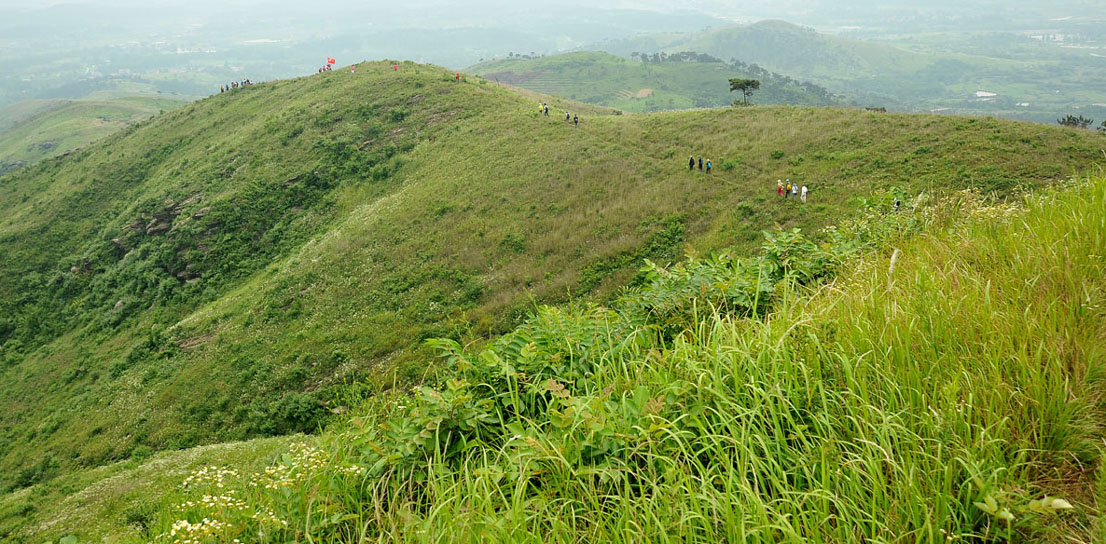 yjw_3751.jpg