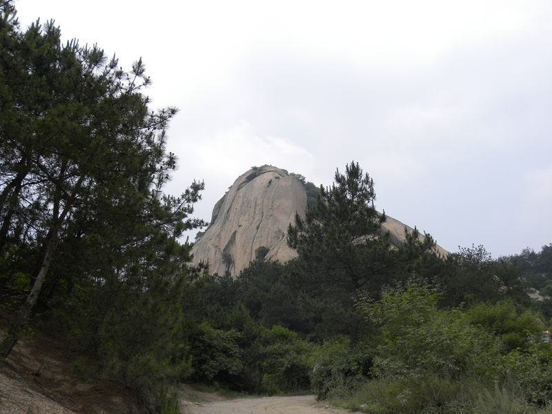 dscn9786_.jpg
