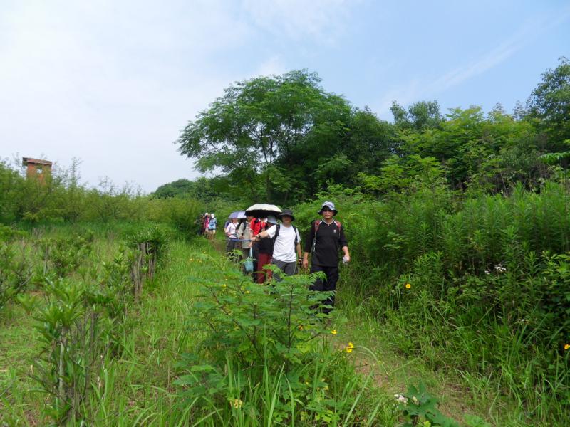 sdc10025.jpg