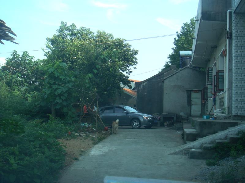 dsc00517.jpg