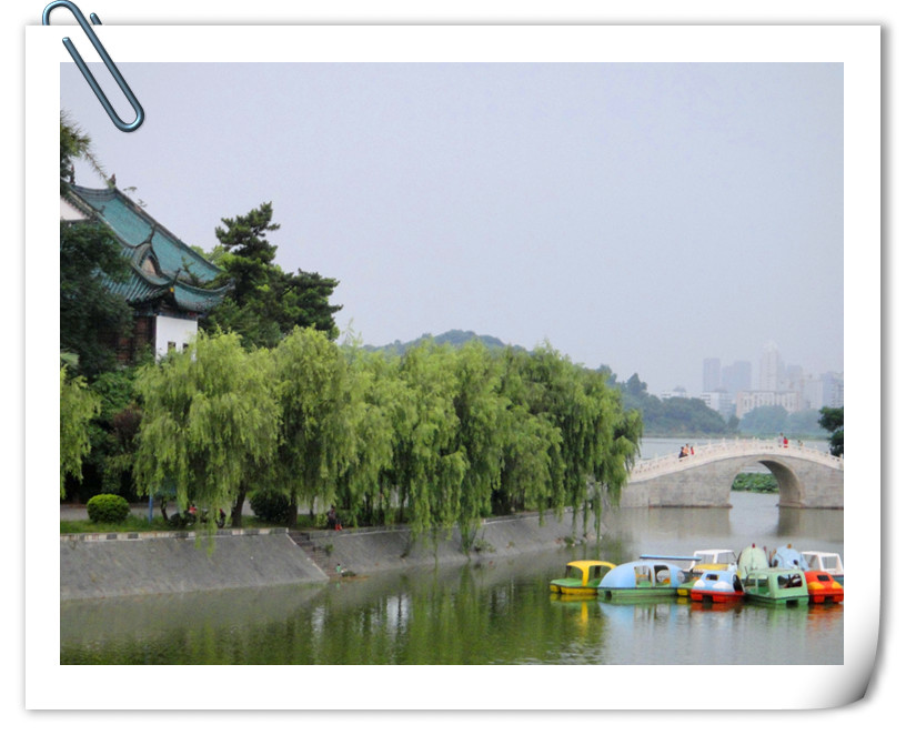 dsc01716_.jpg