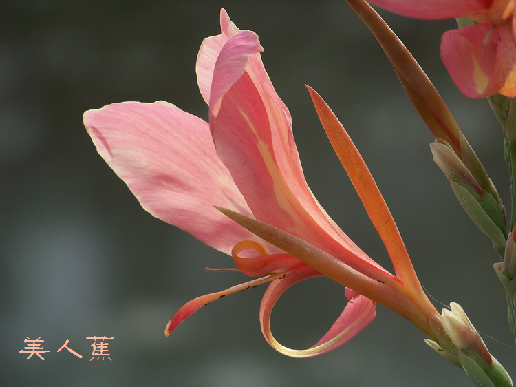 20110717aɻ (57)˽.jpg
