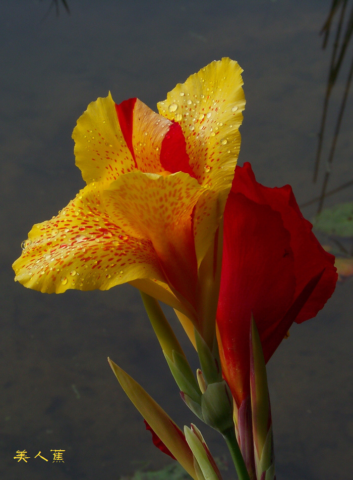 20120609b人ֲ԰˽ (14)x.jpg
