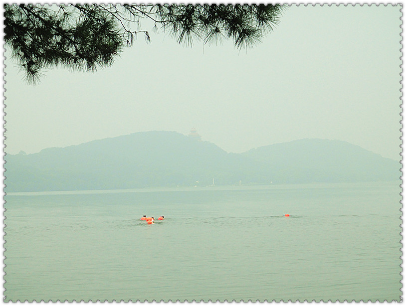 dsc01373_.jpg