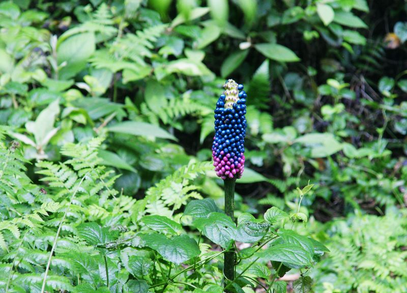 dsc02305.jpg