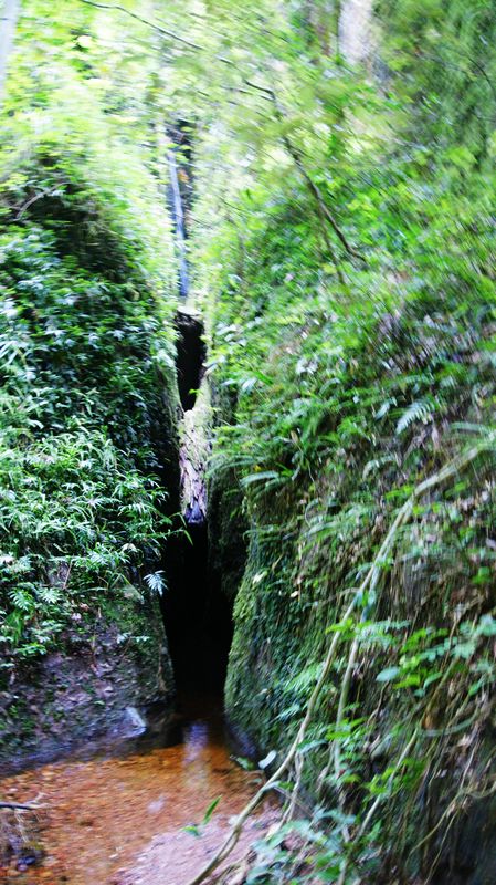 dsc02310.jpg