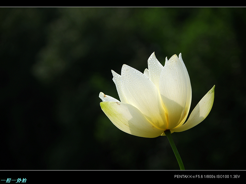 imgp9939.jpg