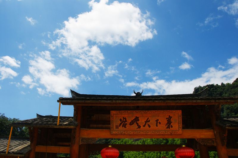 dsc02446.jpg