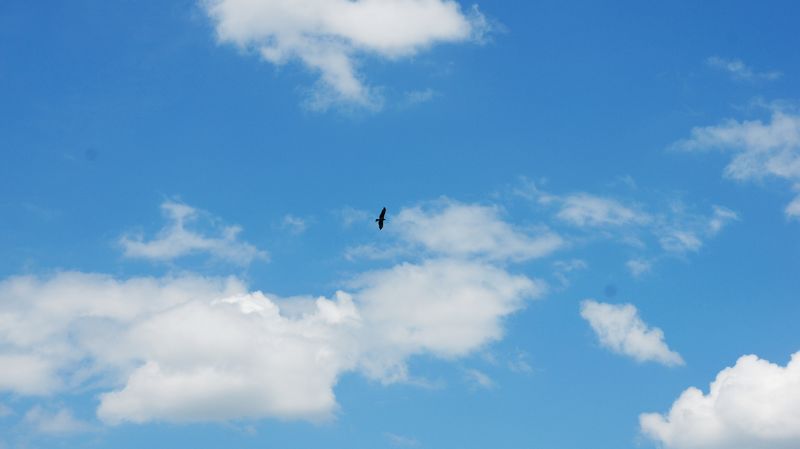 dsc02468.jpg