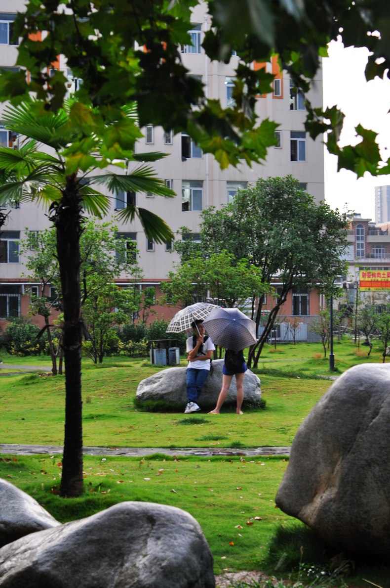 dsc_0667.jpg