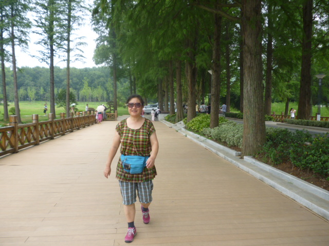 p1050601.jpg
