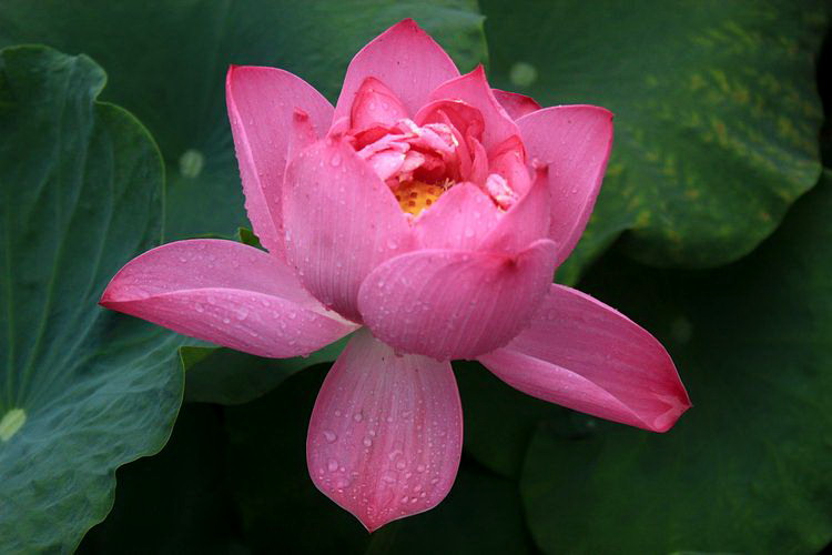 neo_img_img_0497.jpg