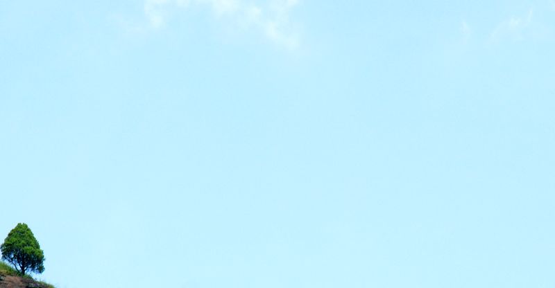 dsc02484.jpg