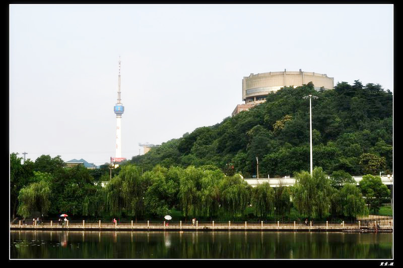 dsc_0551_.jpg
