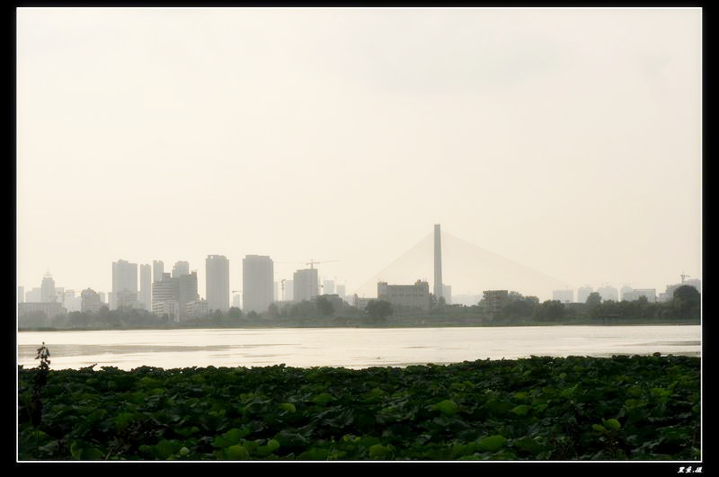 dsc_0568_.jpg