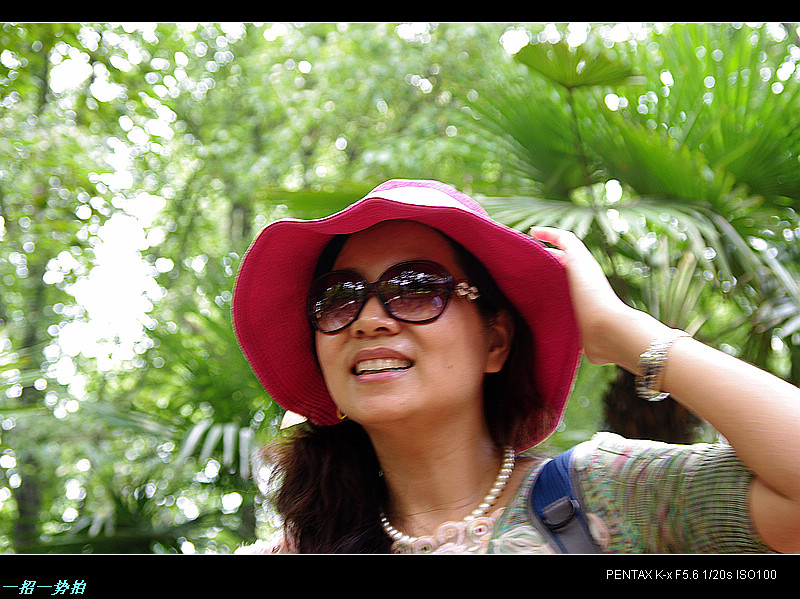 imgp1252.jpg